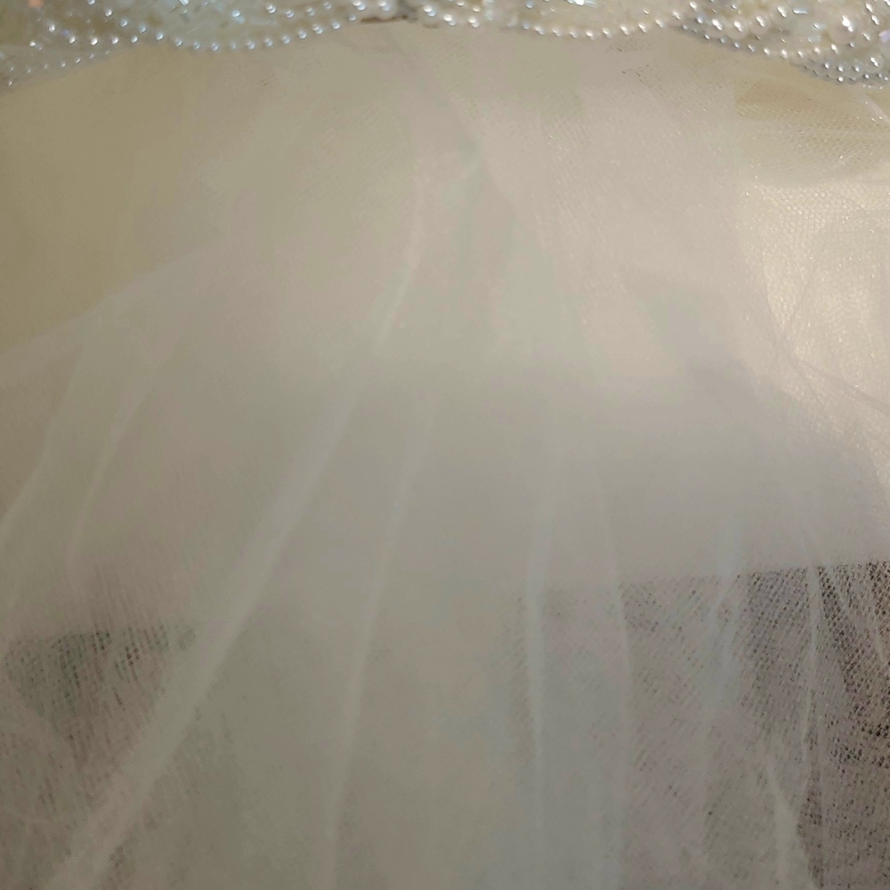 Elegant White Tulle Veil